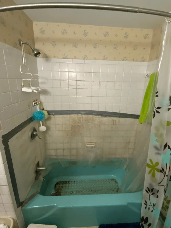 Before shower renovation - Tub-To-Shower Conversion